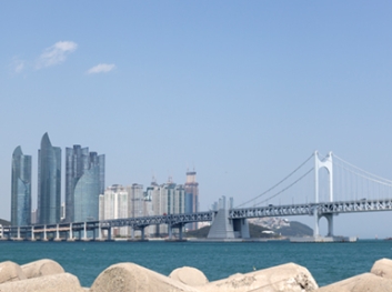 부산축제조직위원회 썸네일 이미지